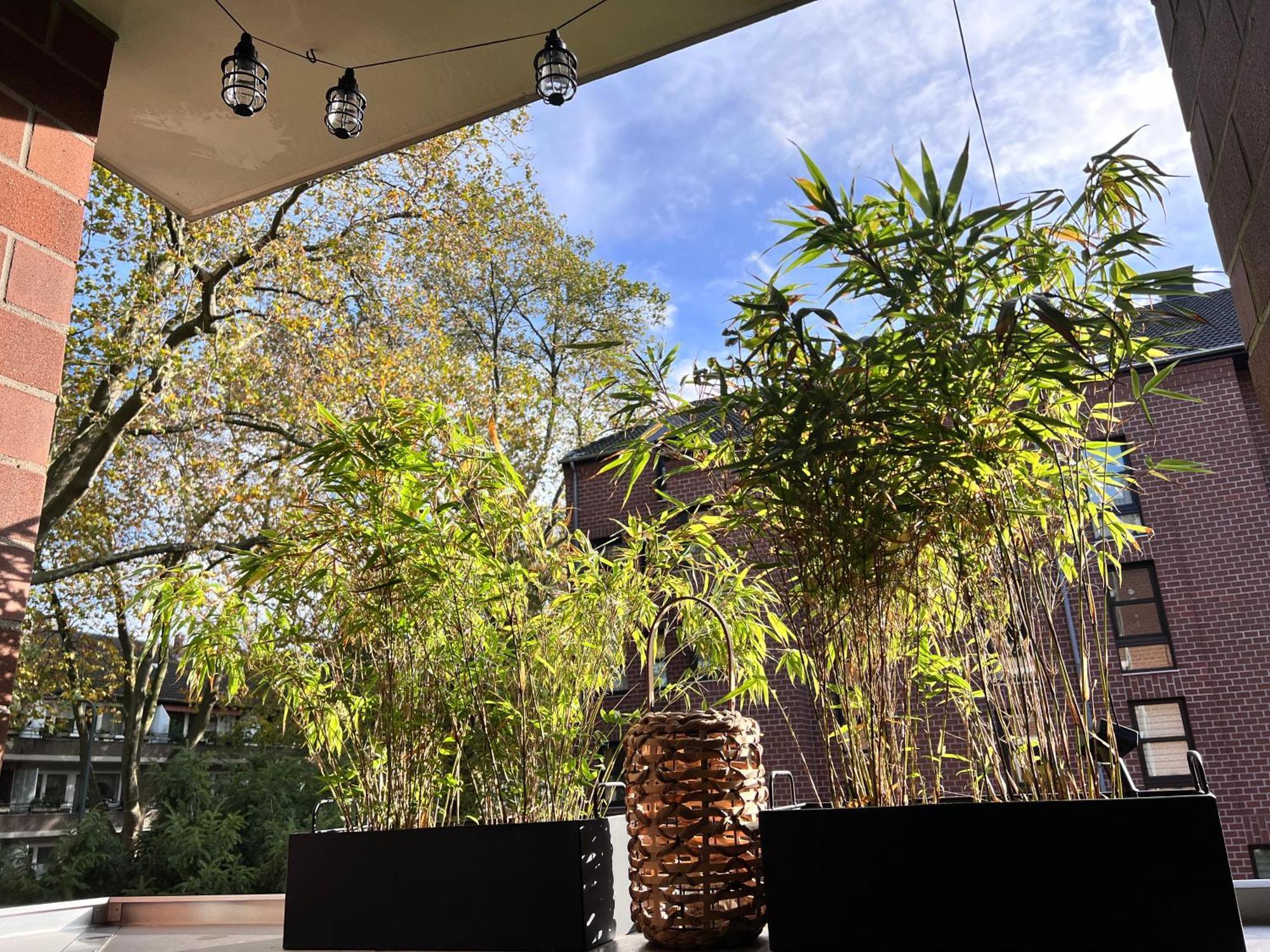 V & S Since 2023 Dusseldorf